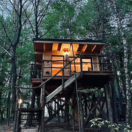 Living Forest Resort Моравске-Топлице Экстерьер фото