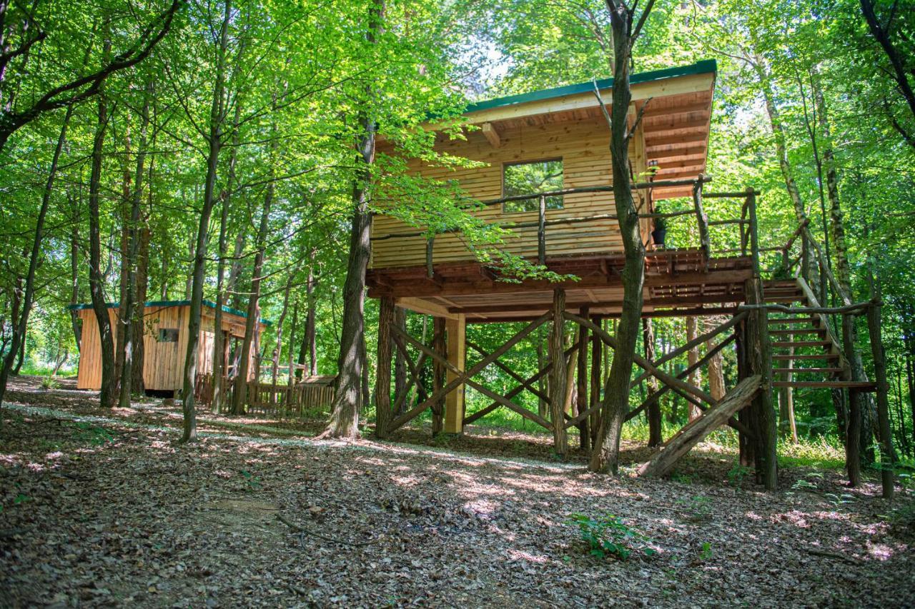 Living Forest Resort Моравске-Топлице Экстерьер фото