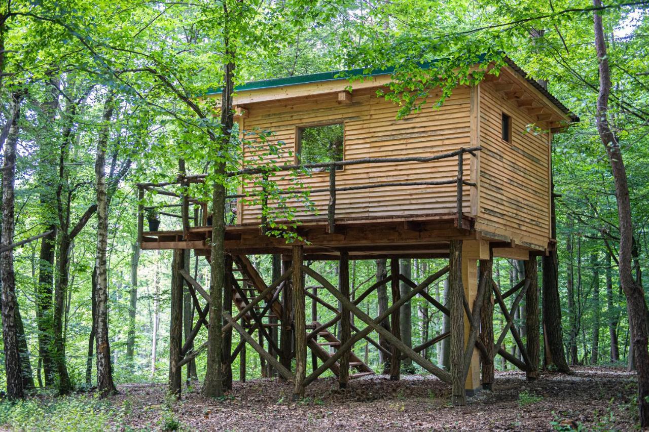 Living Forest Resort Моравске-Топлице Экстерьер фото