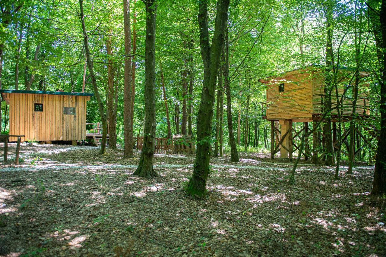 Living Forest Resort Моравске-Топлице Экстерьер фото